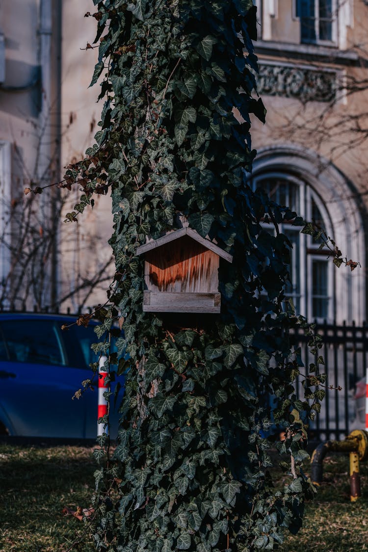 Birdhouse On A Post Covered In Leaves