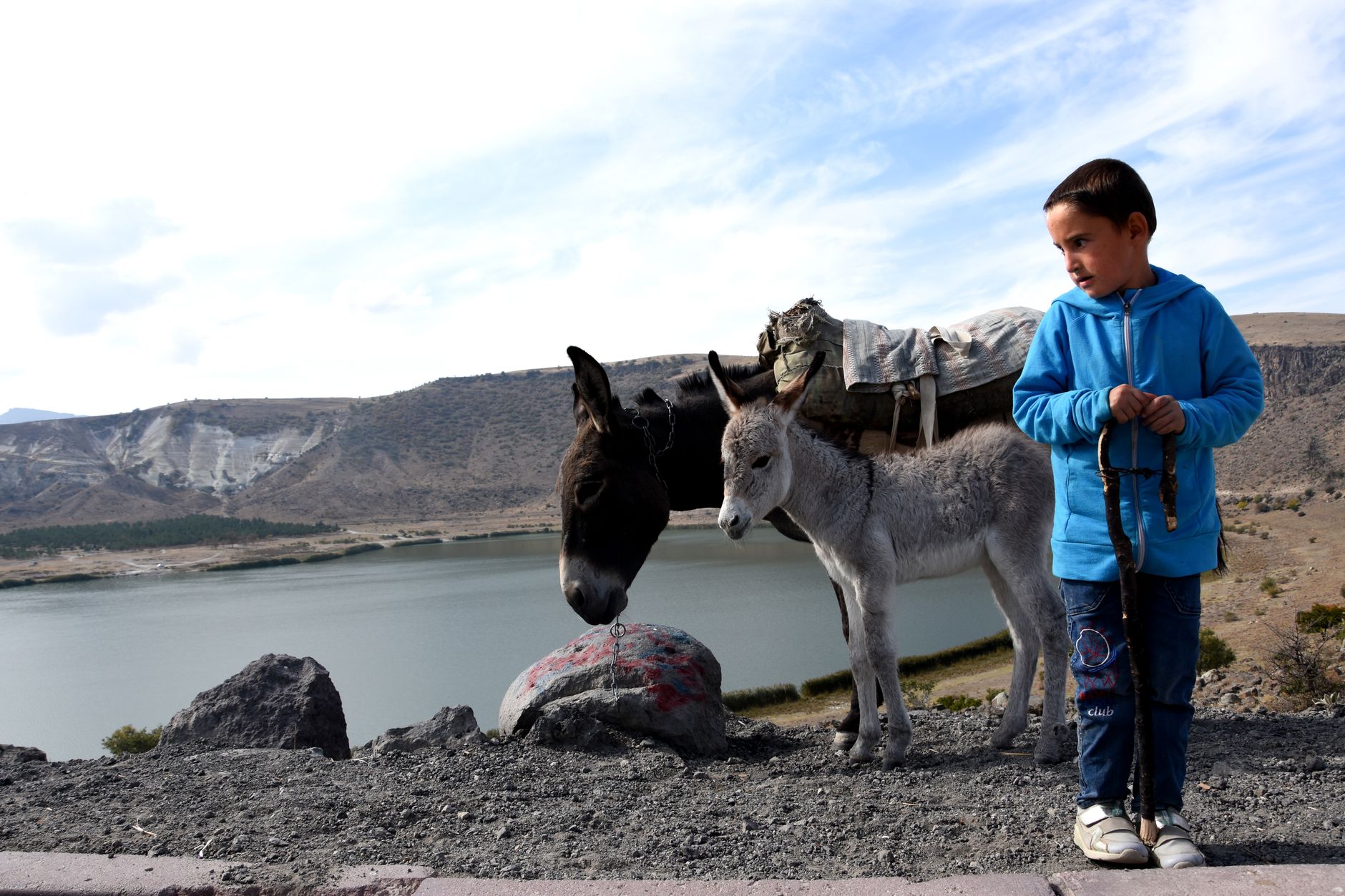 A child with two donkeys near a picturesque lake, capturing a serene countryside moment.