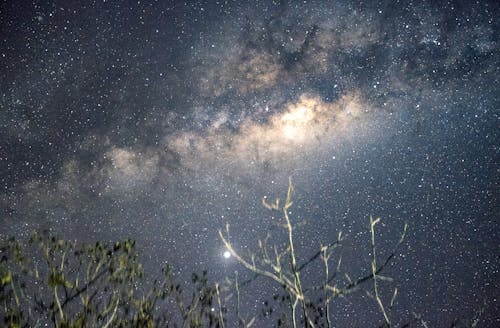 夜, 天の川, 星の無料の写真素材