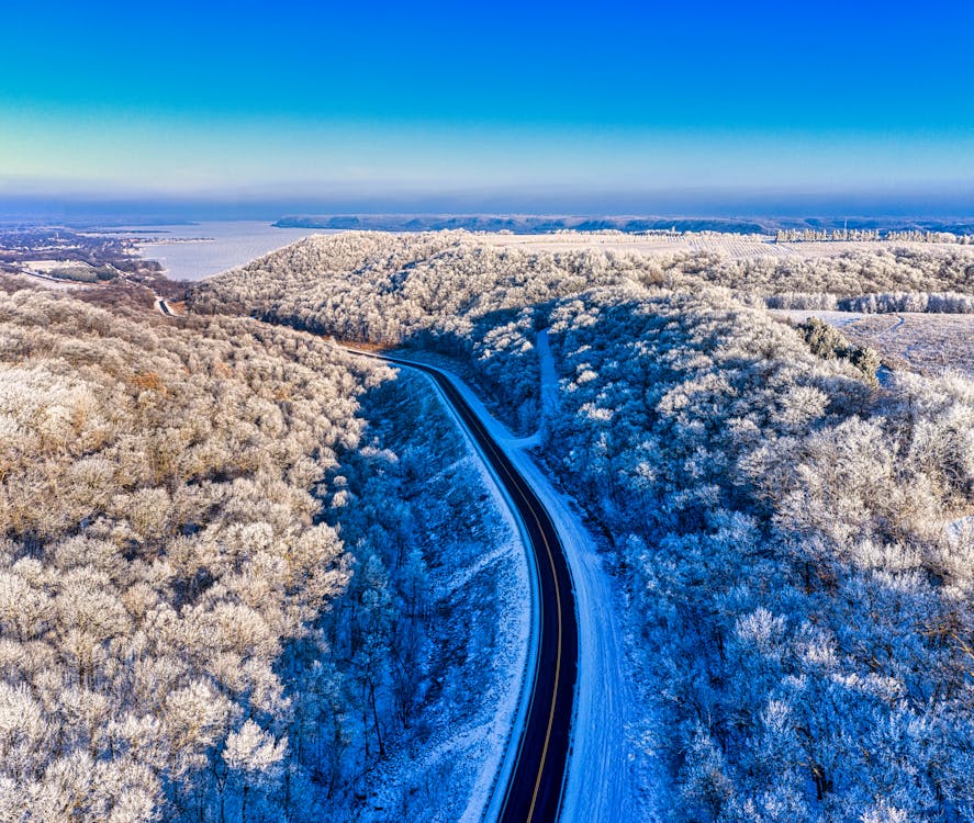 Foto profissional grátis de aerofotografia, árvores, céu azul