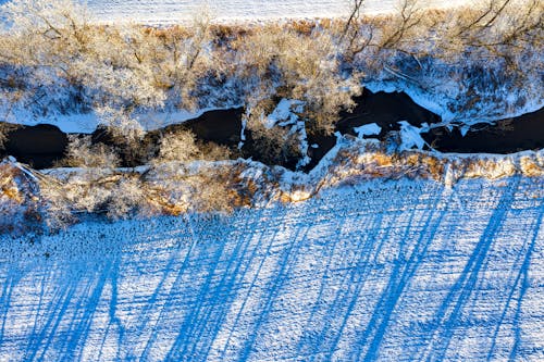 Бесплатное стоковое фото с Аэрофотосъемка, вид сверху, деревья