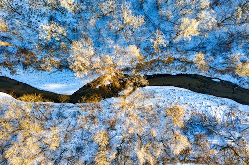 俯視圖, 冬季, 冷 的 免费素材图片