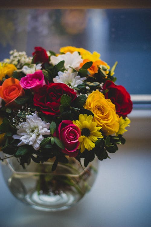 Free Close Up Photography of Multi Petaled Plants in Clear Glass Vase Stock Photo