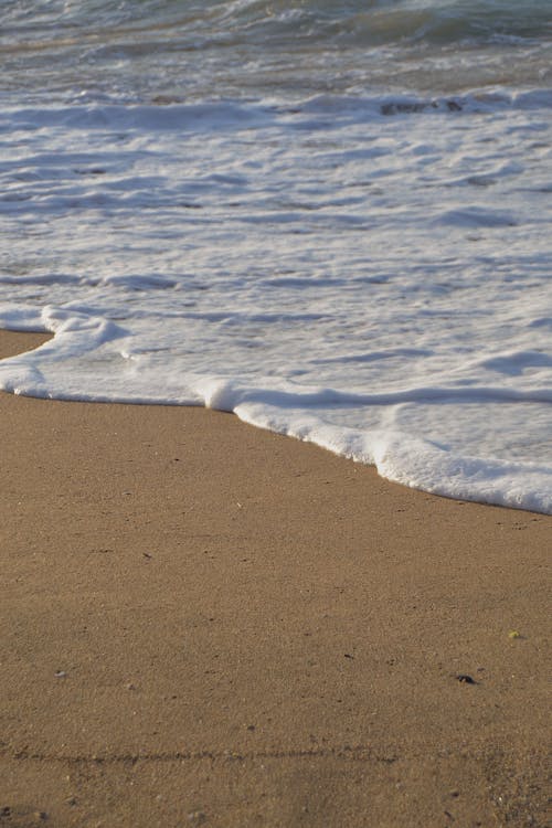 Sea Waves Crashing on Shore