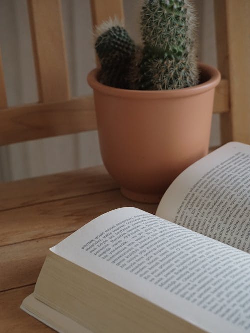 An Open Book Near the Cactus Plant