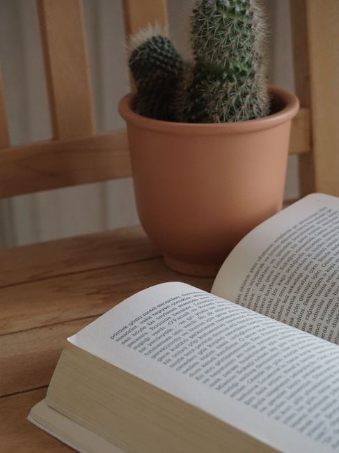 A relaxing still life of an open book with a potted cactus on a wooden table.