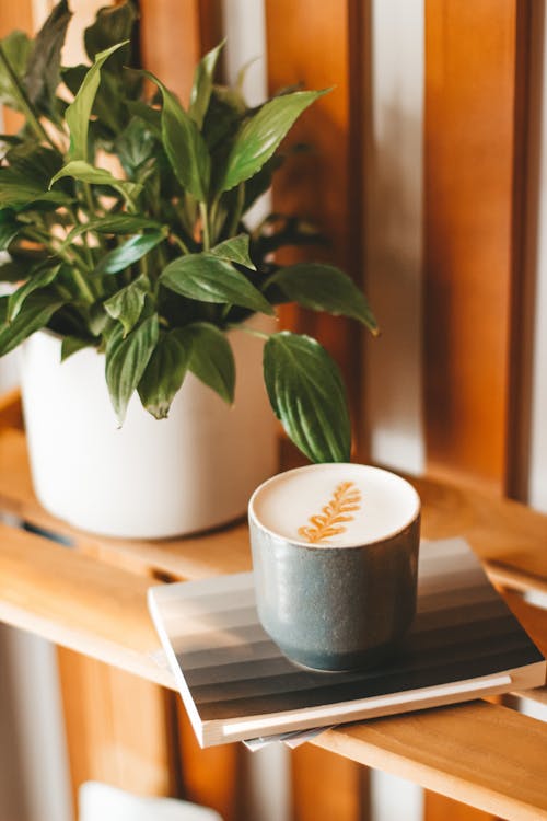 Mug of freshly brewed aromatic cappuccino placed on copybook on wooden shelf near verdant potted plant