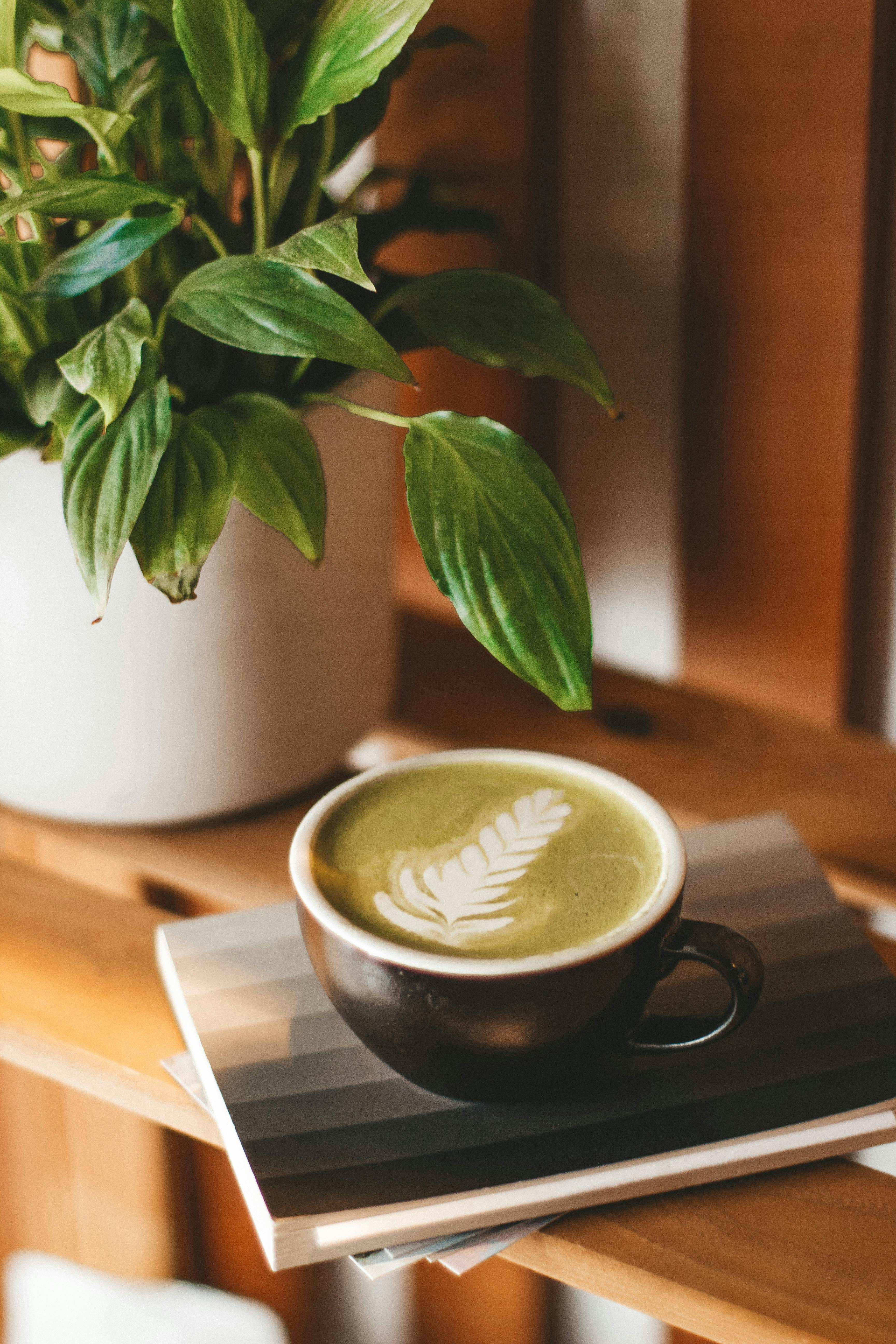 Free A warm green tea latte with latte art, accompanied by a houseplant for a cozy indoor setting. Stock Photo