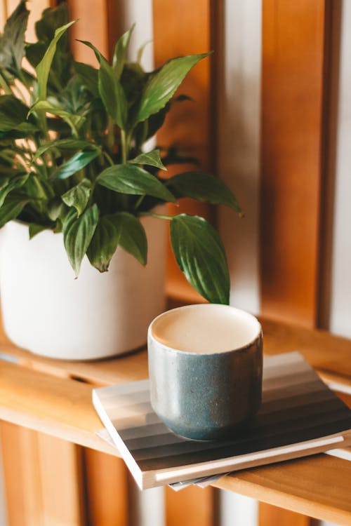 Ceramic mug with delicious fresh cappuccino served on copybook on wooden shelf near verdant houseplant