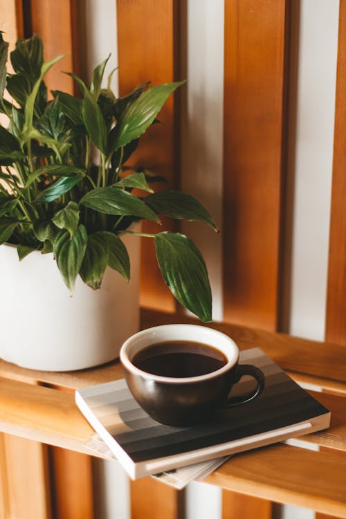 Fresh black coffee served on wooden shelf