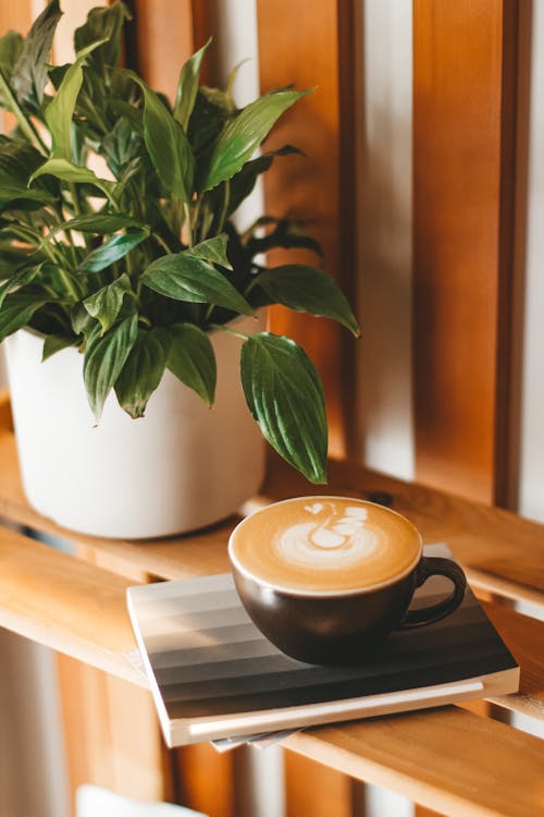 Sweet cappuccino with fluffy froth on wooden shelf