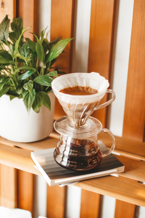 Alternative coffee maker chemex with brewing fragrant beverage placed on wooden shelf near potted lush plant