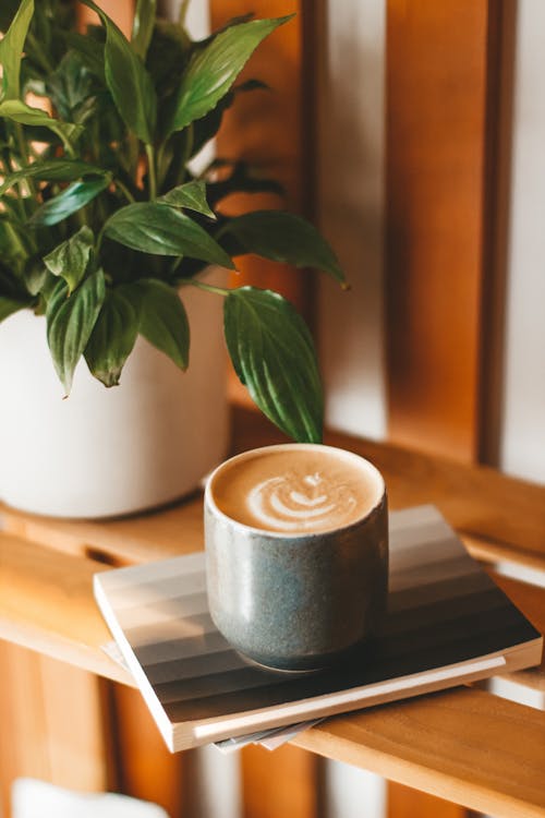 Ceramic mug of yummy latte with fluffy froth served on copybook on wooden shelf near potted houseplant