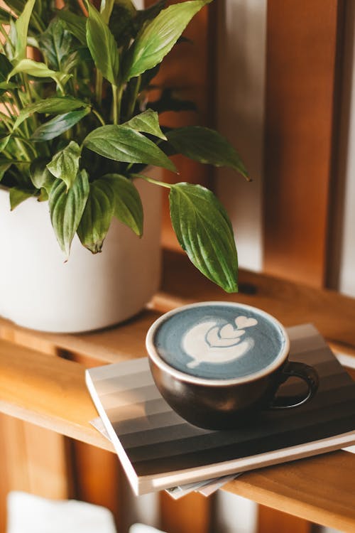 Cup of blue cappuccino served on wooden shelf