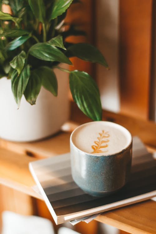 Ceramic mug of aromatic fresh cappuccino served on copybook on wooden shelf near verdant potted houseplant