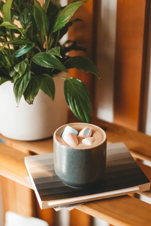 Delicious hot cappuccino topped with sweet marshmallows and served on wooden shelf near lush houseplant