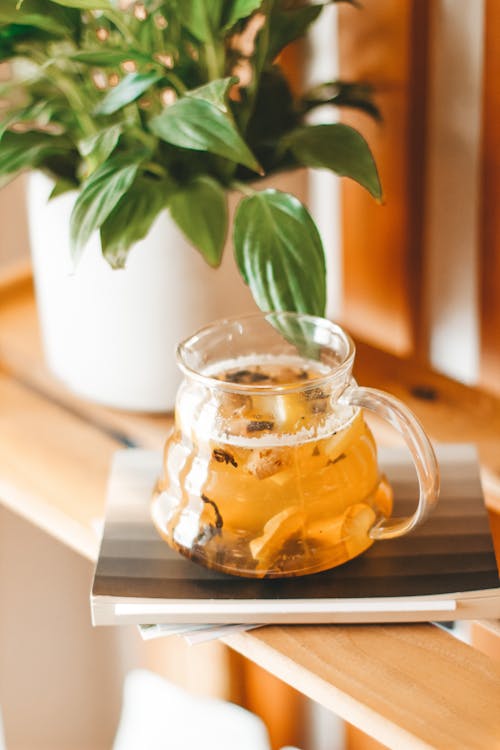 Free Glass teapot with freshly brewed fragrant green tea with herbs served on wooden shelf near potted houseplant Stock Photo