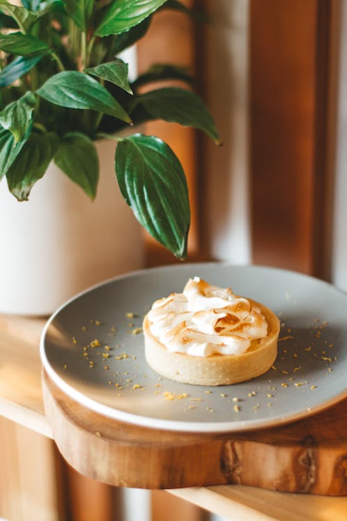 Appetizing fresh tart topped with whipped cream served on gray plate on wooden shelf near lush houseplant