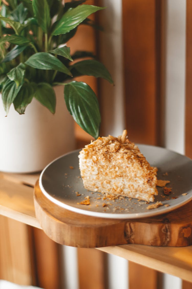 Tasty Sweet Cake On Gray Plate Near Green Plant