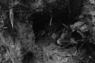 Raw ground with holes in daytime