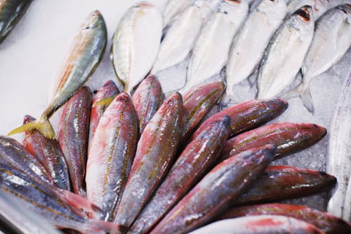 Foto profissional grátis de alimento, apetitoso, aquático