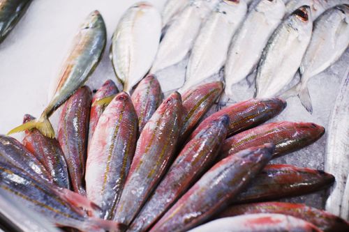 Free From above of fresh raw fish placed on counter in local market in daytime Stock Photo