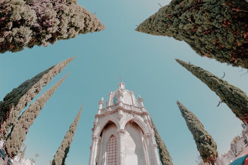 cementerio, cementery, 墨西哥 的 免費圖庫相片