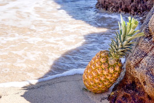 菠萝在沙滩上休息，伴着海浪，捕捉热带度假的氛围