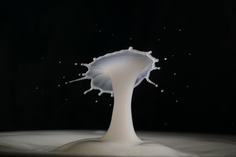 Milk Splash