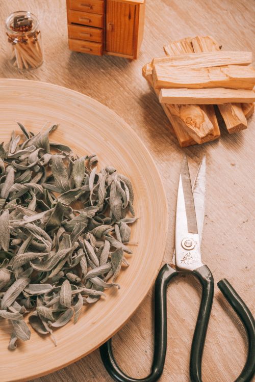 Free From above of fragrant dry green aromatic leaves placed on timber board near scissors and sticks Stock Photo