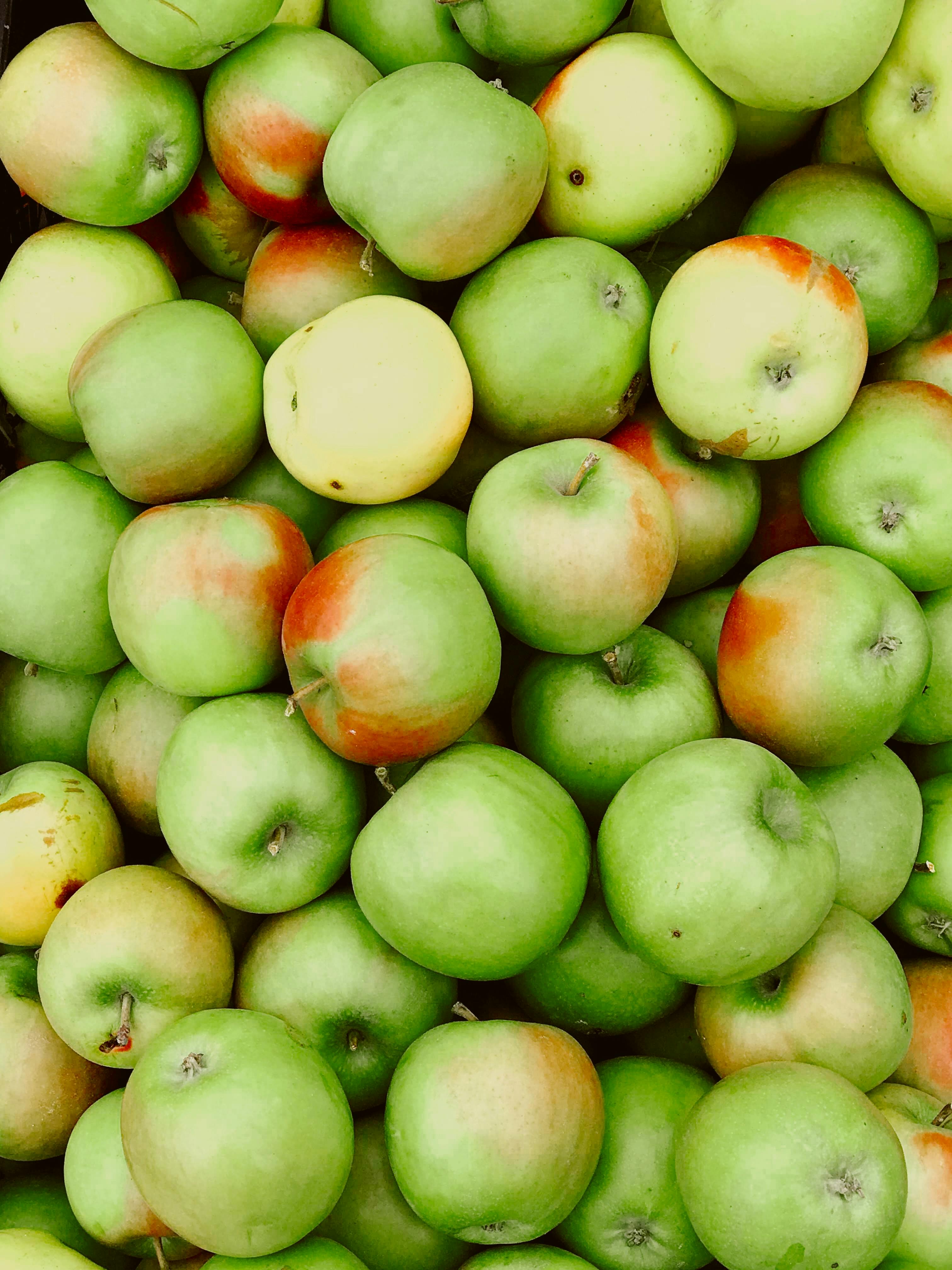 Five crisp healthy green apples - Free Stock Image