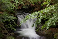 瀑布从茂密的绿色森林中倾泻而下，风景如画，尽显大自然的宁静