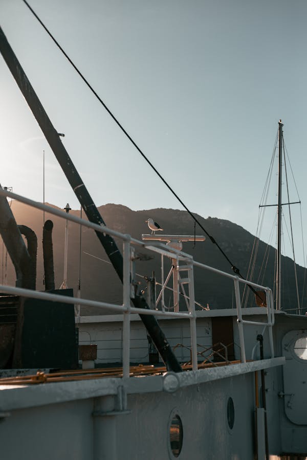 White and Brown Boat on Sea