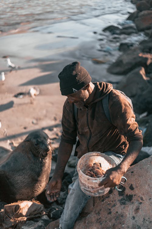 Free Man in Brown Jacket Feeding the Seal Stock Photo