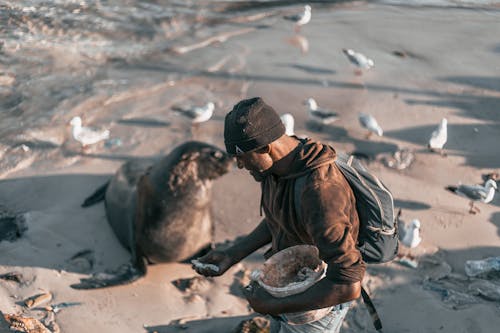 Man in Brown Jacket and Black Knit Cap Feeding Sea Lion