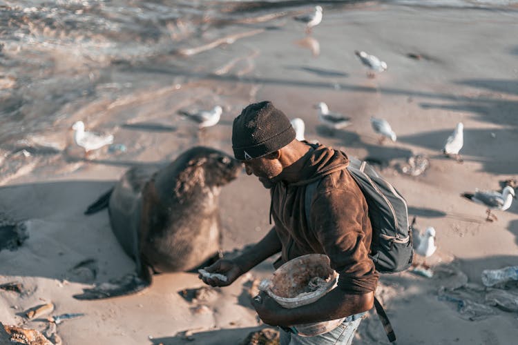 Man In Brown Jacket And Black Knit Cap Feeding Sea Lion