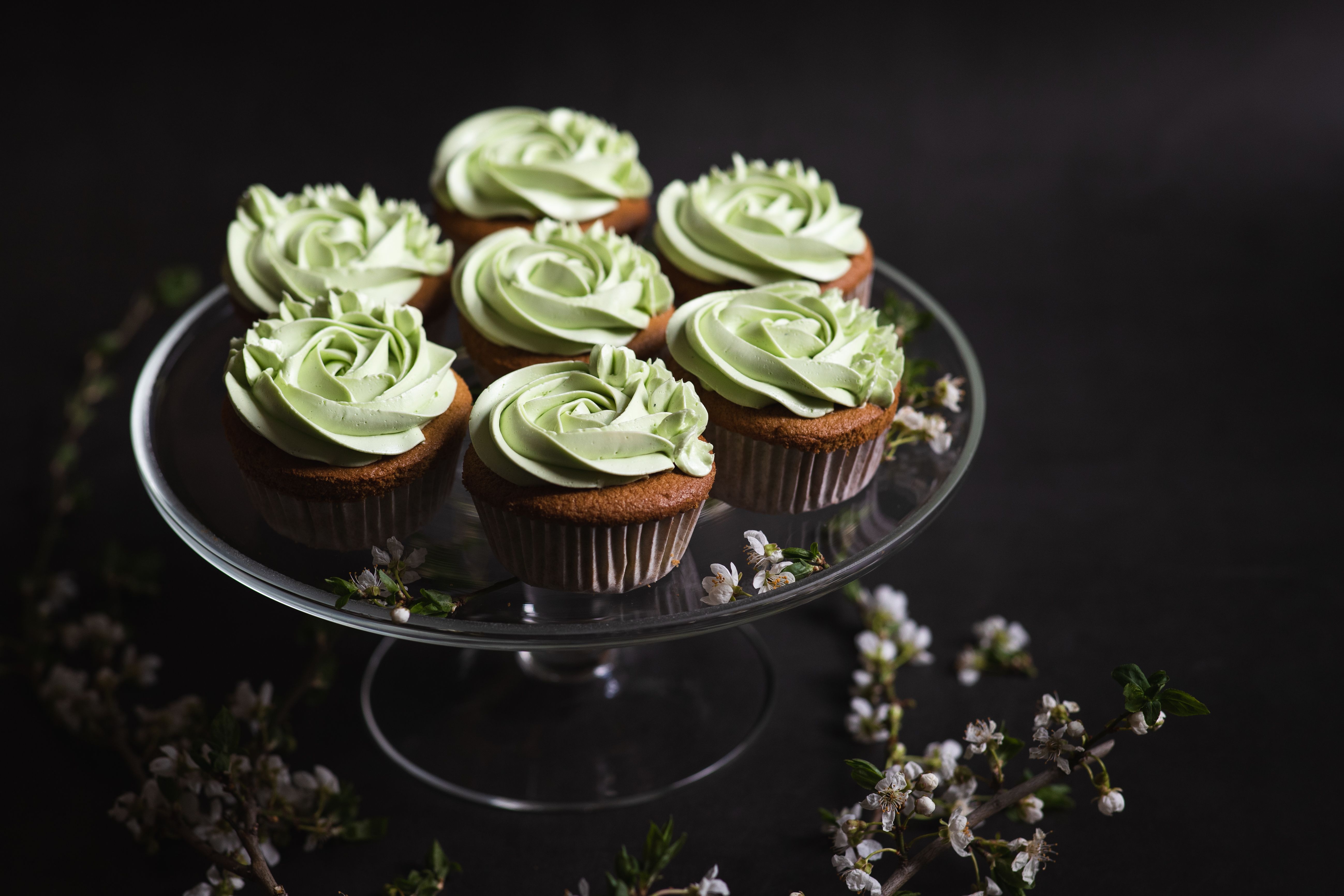 Buttercream Succulents Cupcake Class!