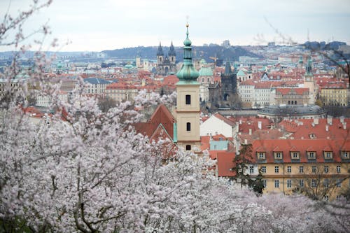 Základová fotografie zdarma na téma Česká republika, církev, důmy