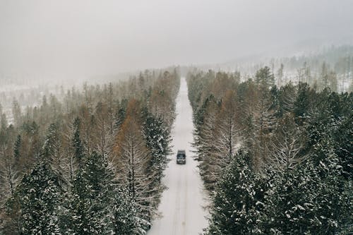 SUV Driving on Snow Covered Road