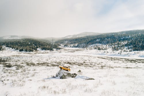 Foto d'estoc gratuïta de a l'aire lliure, abandonat, cobert de neu