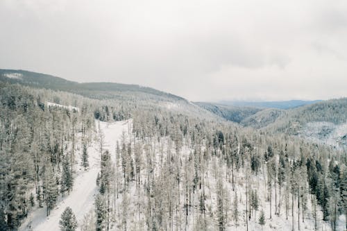 бесплатная Бесплатное стоковое фото с вид сверху, живописный, зима Стоковое фото