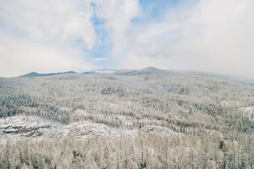 Aerial View of Winter Landscape