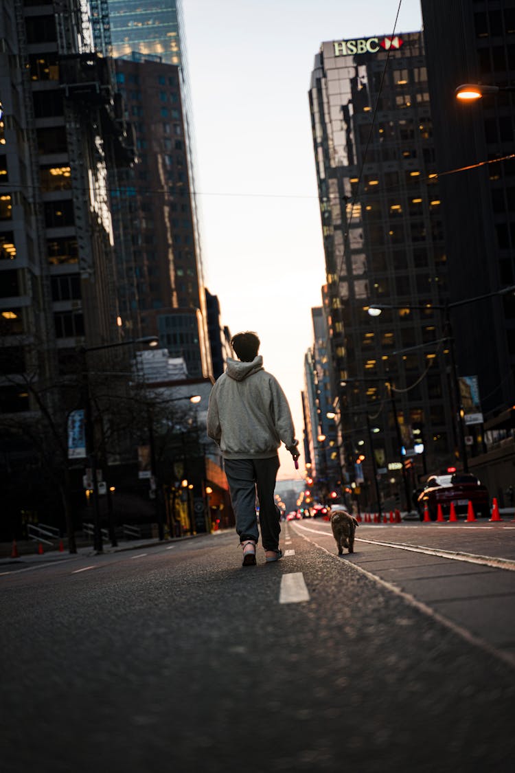 Walking With Dog On Street