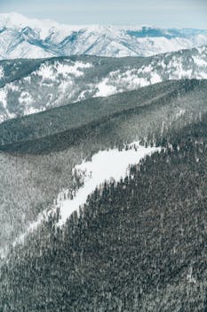 Stunning aerial view of a snow-blanketed mountainous forest showcasing untouched nature.