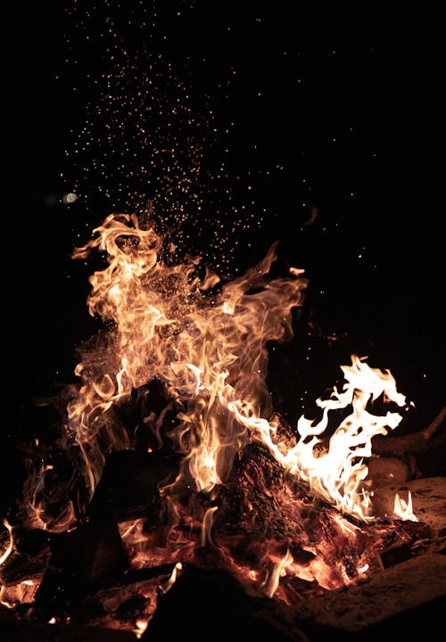 Foto profissional grátis de chamas, fogo, fogueira