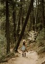 Back View of a Woman in Sundress Walking in the Middle of the Forest