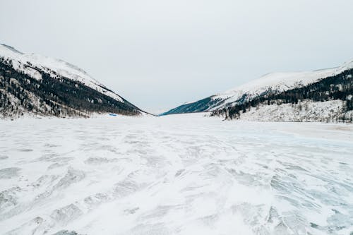 Ilmainen kuvapankkikuva tunnisteilla flunssa, huurteinen, lumi