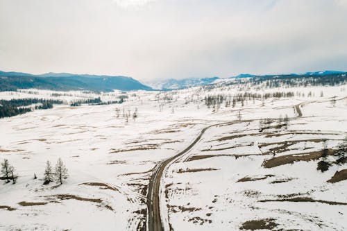 Why Snow in the City Smells So Different From the Countryside