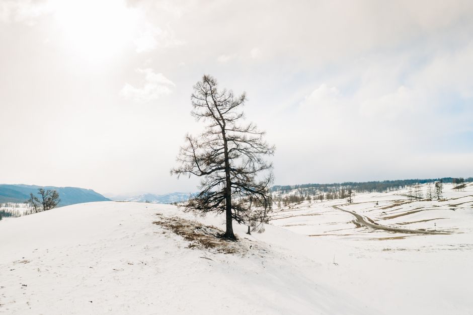 extreme weather vacations travel