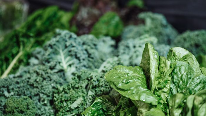 Fresh kale — contains approximately 47 mg lutein per 100g cooked, the highest density of any common food